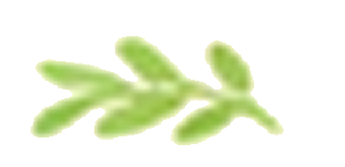 1b